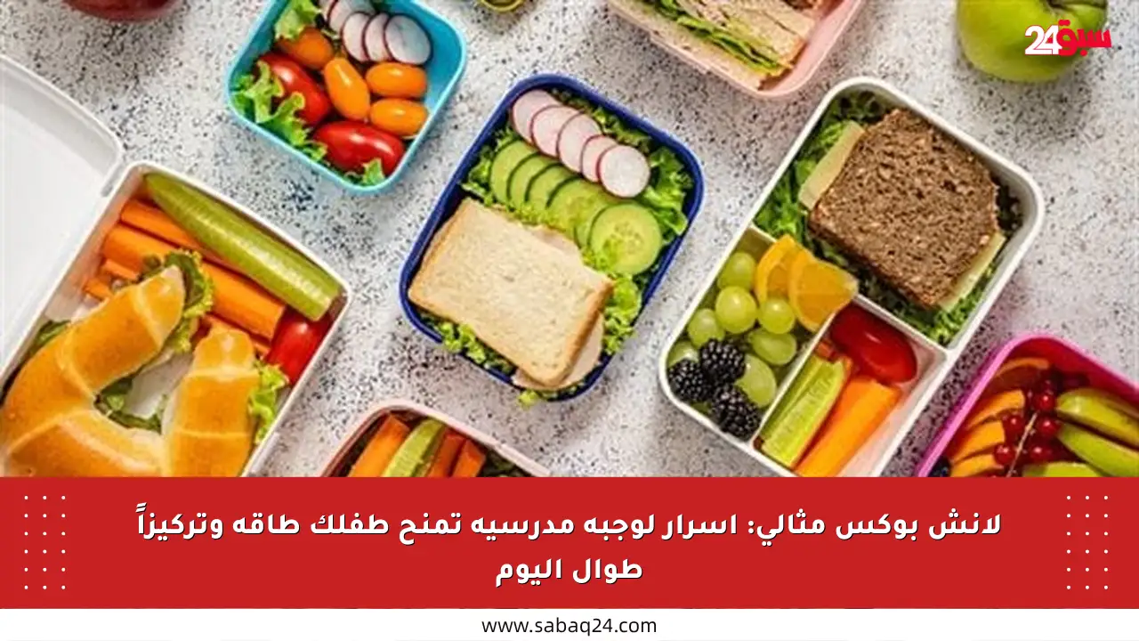 لانش بوكس مثالي: أسرار لوجبة مدرسية تمنح طفلك طاقة وتركيزاً طوال اليوم